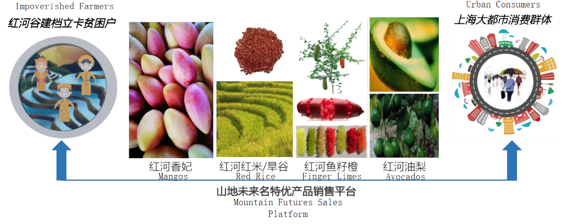 微信图片_20200401102729.png