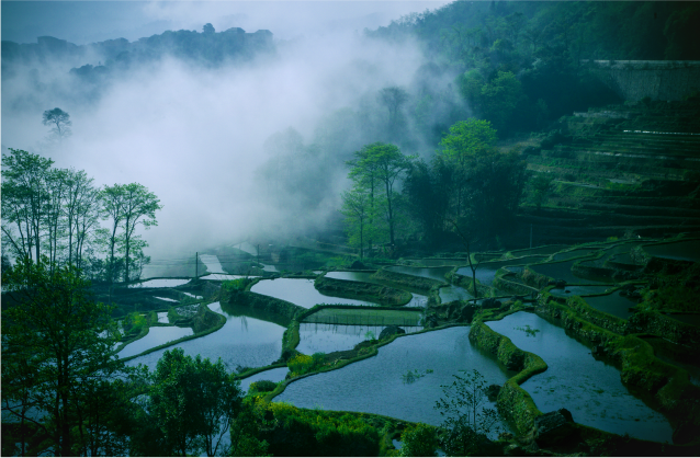 世界资源研究所代表团访问中科院昆明植物研究所山地未来中心，共同探索合作机会