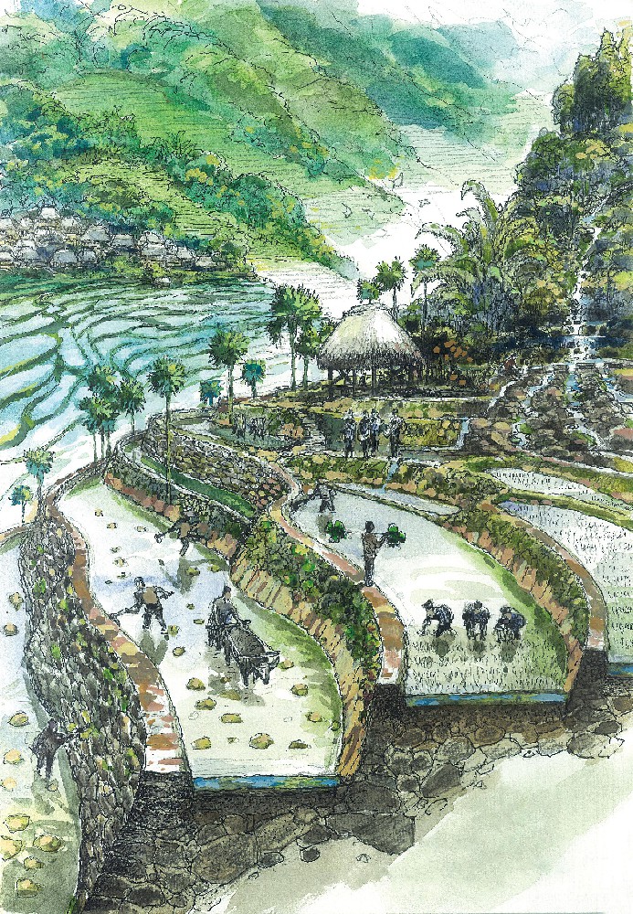 梯田养护